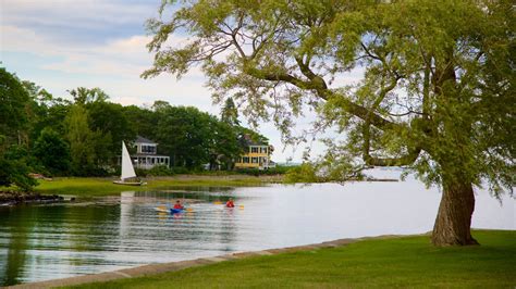 cape porpoise rentals|Cape Porpoise